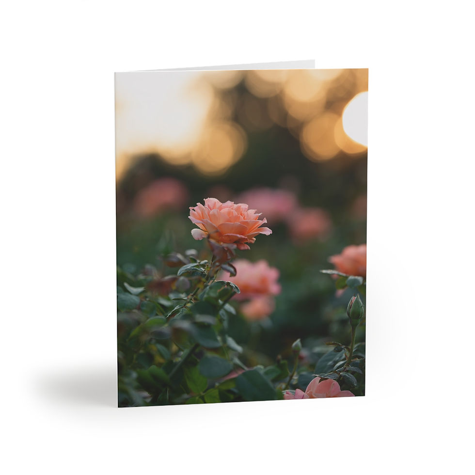 Thumbnail: Greeting Cards Set - Rose Garden at Sunset