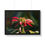Thumbnail: Framed Horizontal Print- Poinsettia & Bee