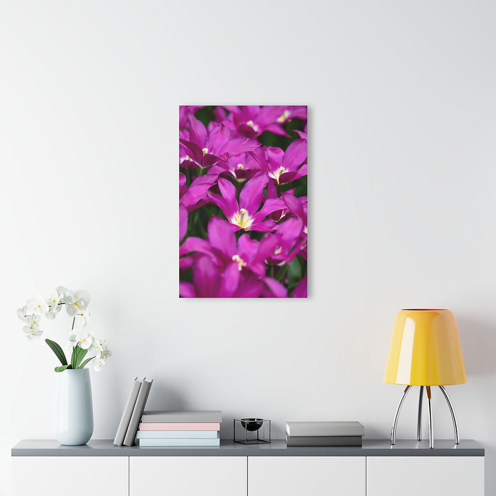 Thumbnail: Acrylic Print - Purple Flowers
