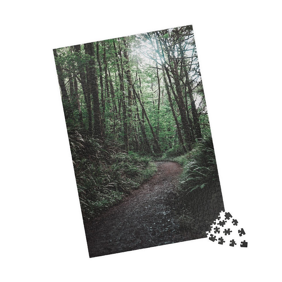 Puzzle (110, 252, 520, 1014-pieces)- Into the Forest