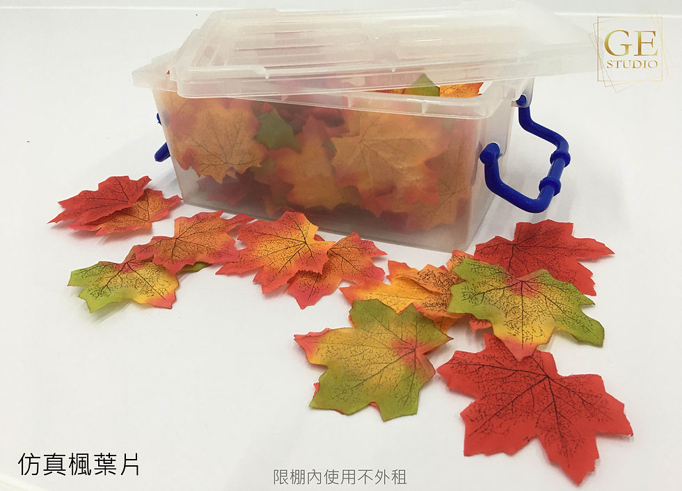 仿真楓葉片.jpg