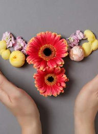 Revivalab schema overzicht_edited.jpg