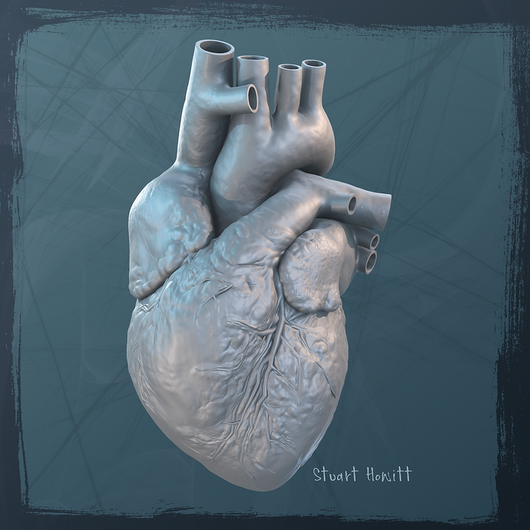 Heart_Sculpt.png