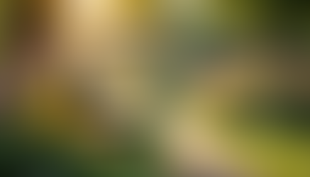 Finding Joy and Purpose in a Fast-Paced World: Essential Self-Care Tips