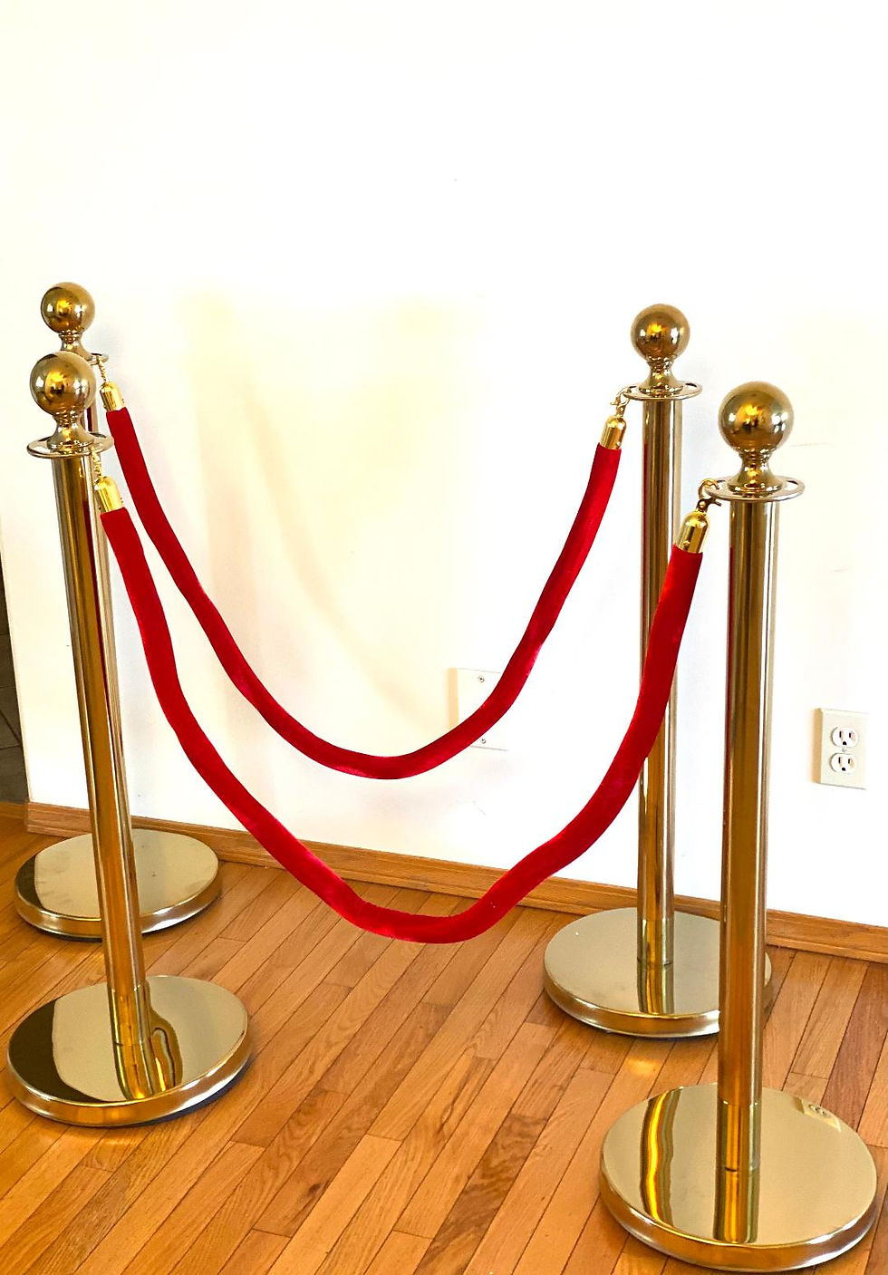 Thumbnail: Gold Stanchions with Red Ropes