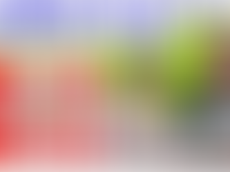 元農林水産大臣・山田正彦先生と対談