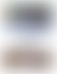 Scouts to Embark on Austria Adventure!