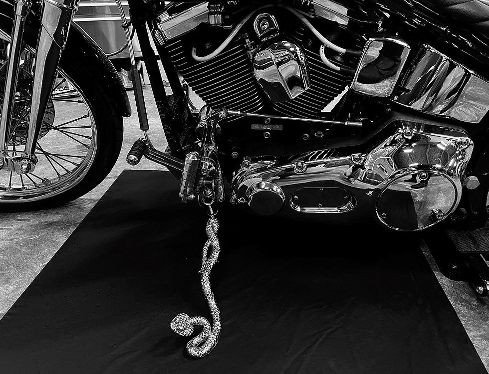 縮圖：【MADE IN USA】The Venom Sidestand　サイドスタンド