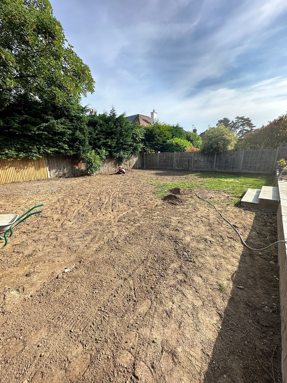 Garden 1