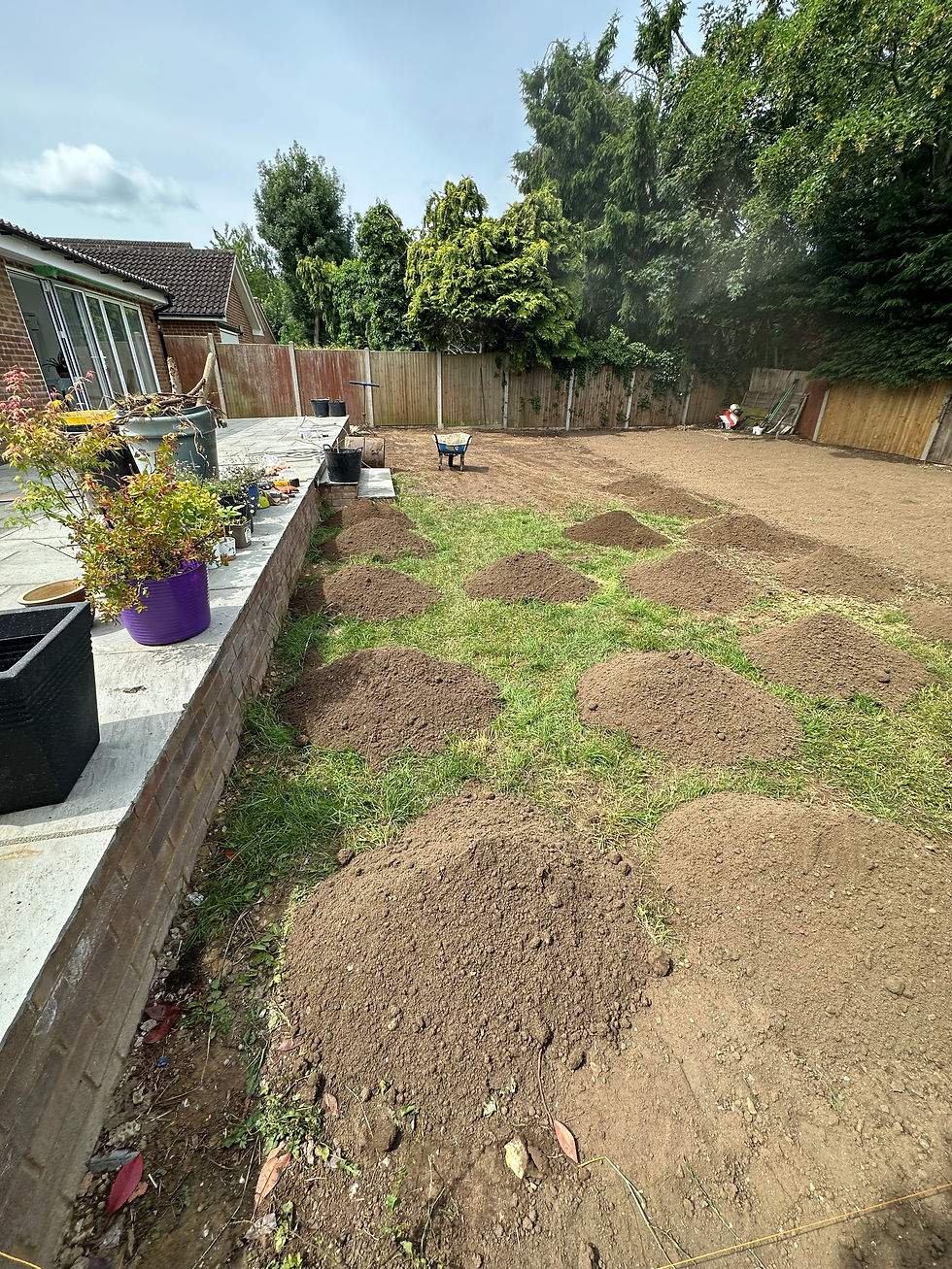 Garden 1