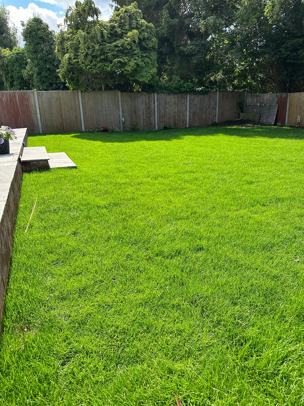 Garden 1
