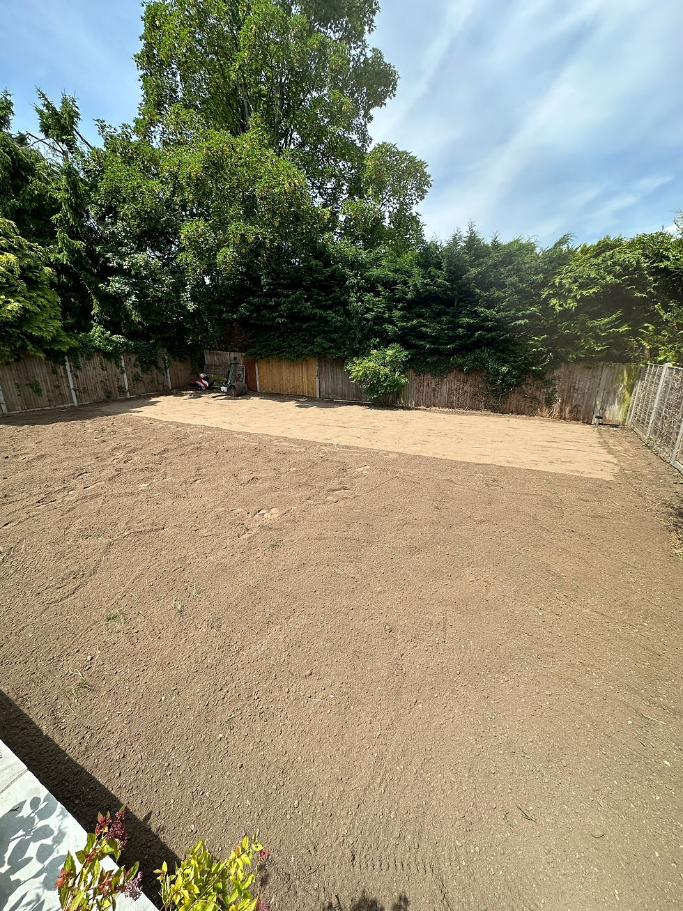 Garden 1
