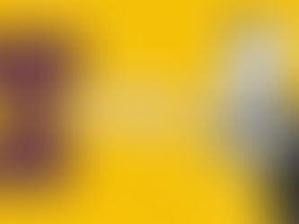 Por que sua Marca Precisa de um "Social First Show"