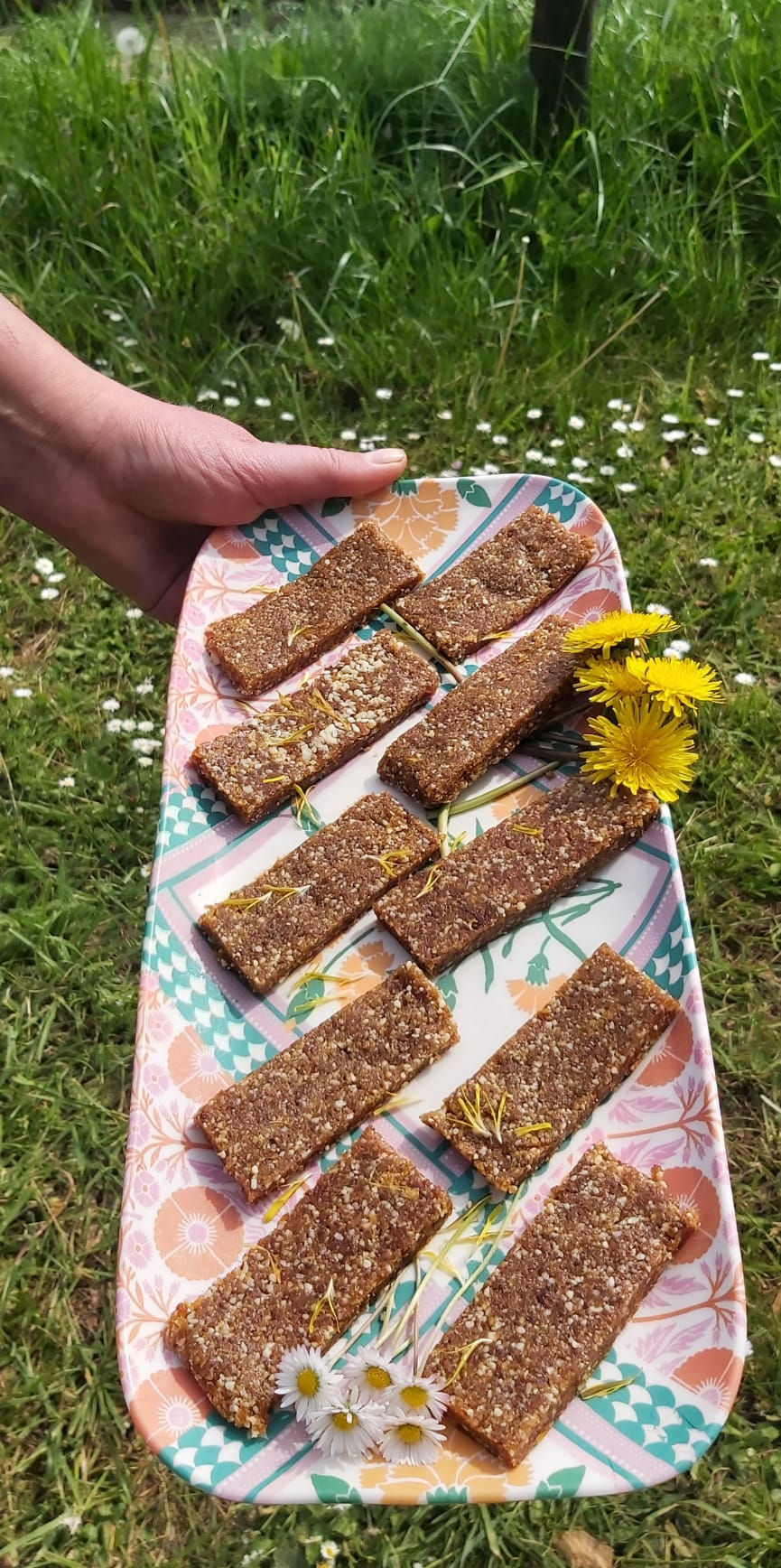 Apricot and seed bars