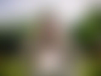 Growing an email audience while staying out of the spam folder