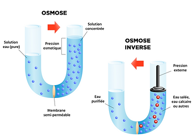 erabliere-mercier-separation-eau-erable-osmose.jpg