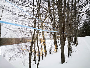 erabliere-mercier-estrie-foret-hiver-tubulure.jpg