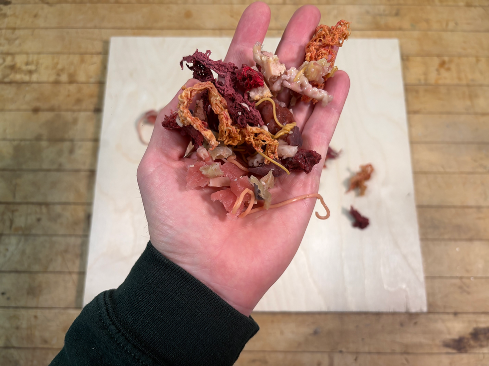 Thumbnail: Small animal entrails