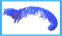 La plume magique