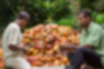 producteur chocolat bean to bar