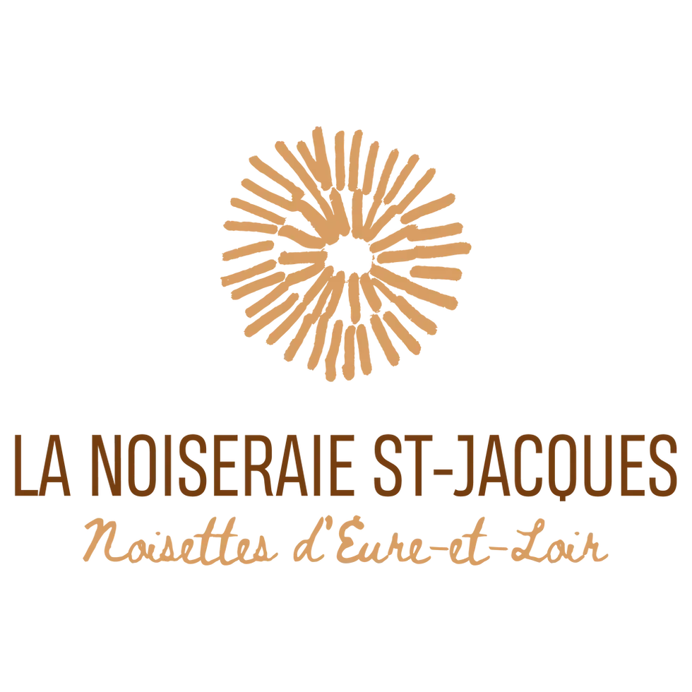 Miniature : Pulpe de noisettes au chocolat