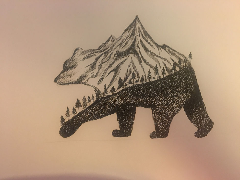 Moutain Bear