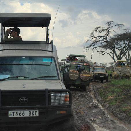 How to Avoid Africa's Crowds and Fund Conservation at the Same Time