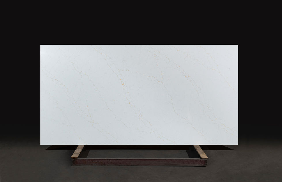 VQ366 Venatino Gold (1)