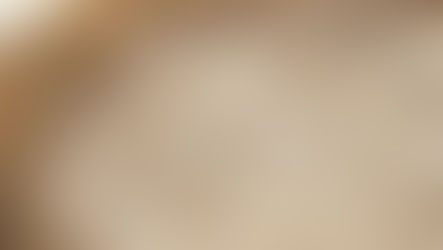 Looking Inward Activity