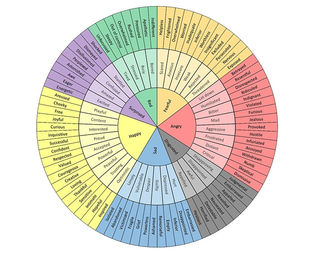 The Feeling Wheel