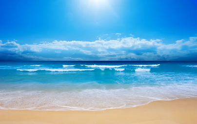 Template1BG1.webp