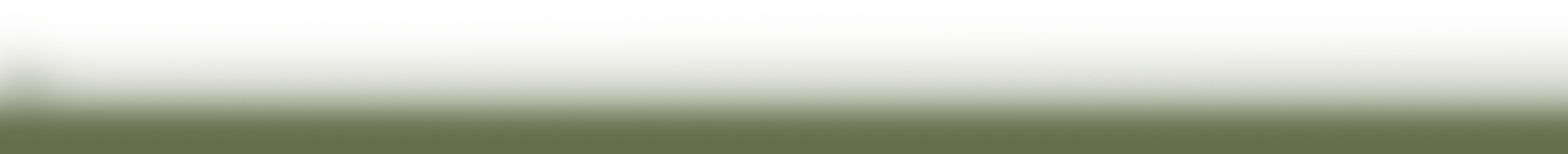 Home Divider 5B.png