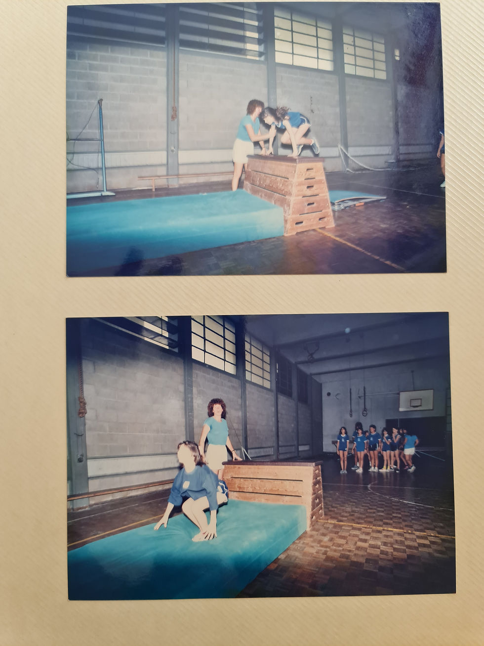 ארכיון ורדית אגאי  סלטר זל (234)