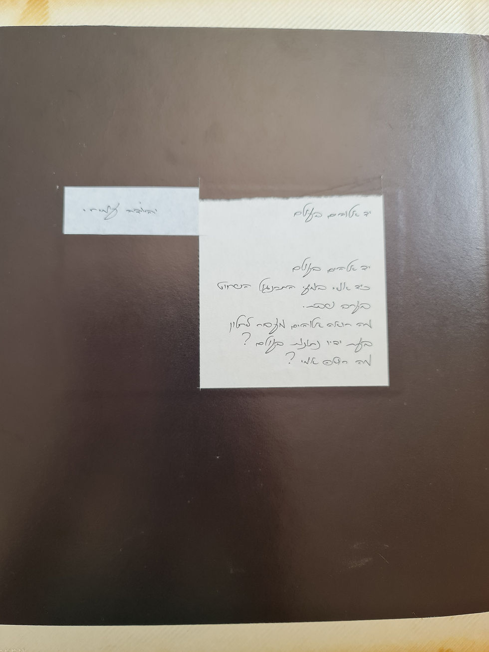 ארכיון ורדית אגאי  סלטר זל (258)