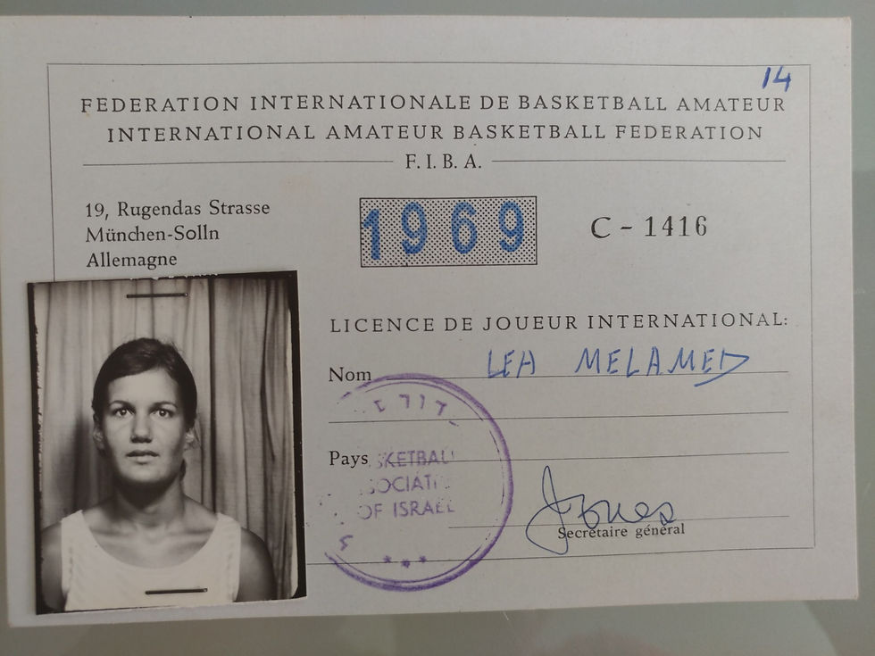 לייקי מלמד ארכיון  כתבות ותמונות  (73)