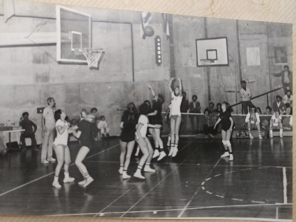 נטע כנעני ינובר ארכיון היכל התהילה כדורסל נשים (219)