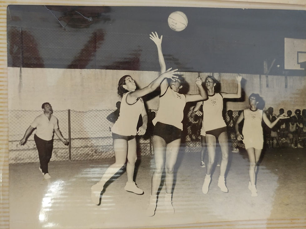 נורית שומר בנתור תמונות וכתבות (24)