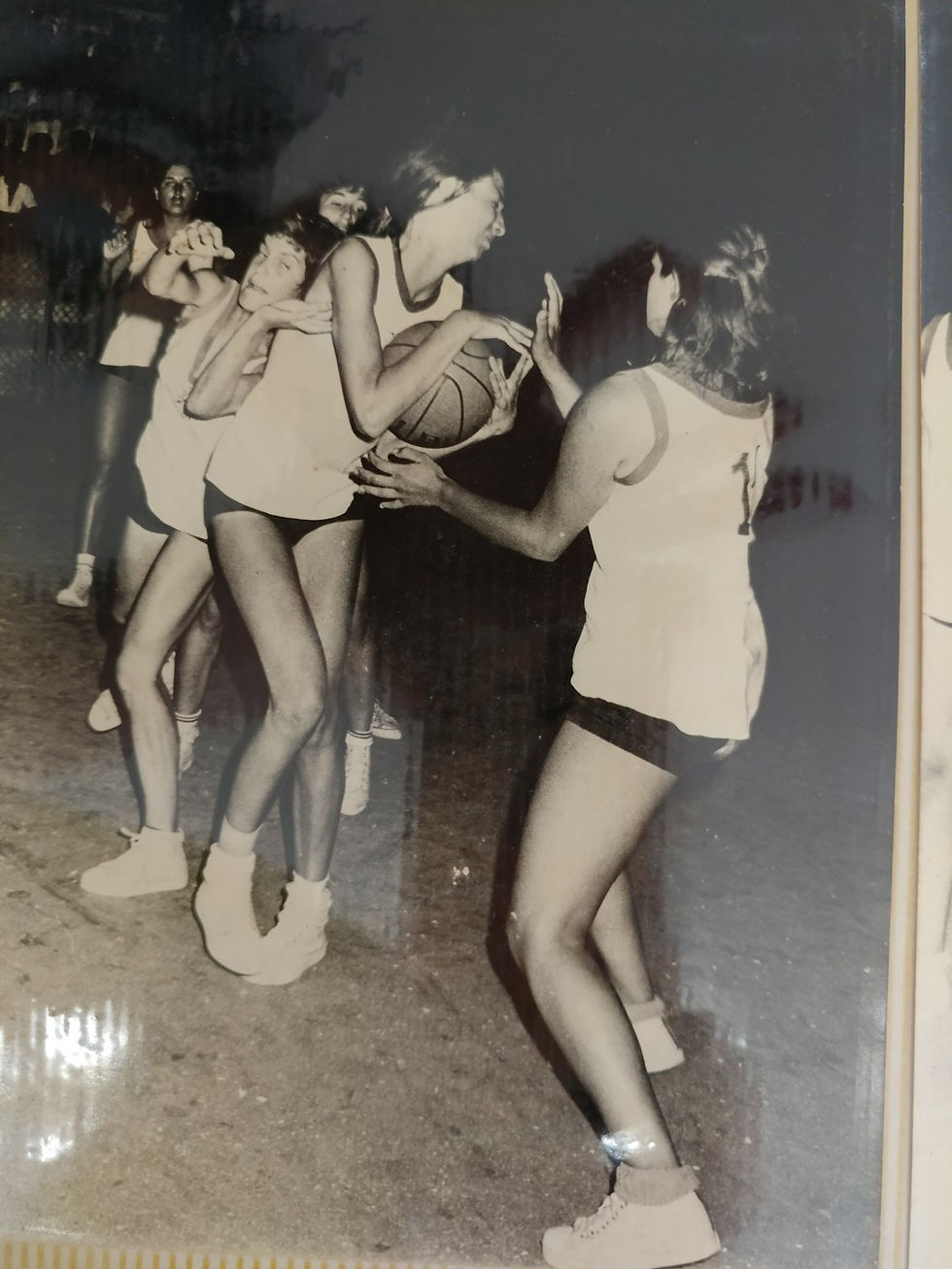 ענת לוין תמונות וכתבות (13)