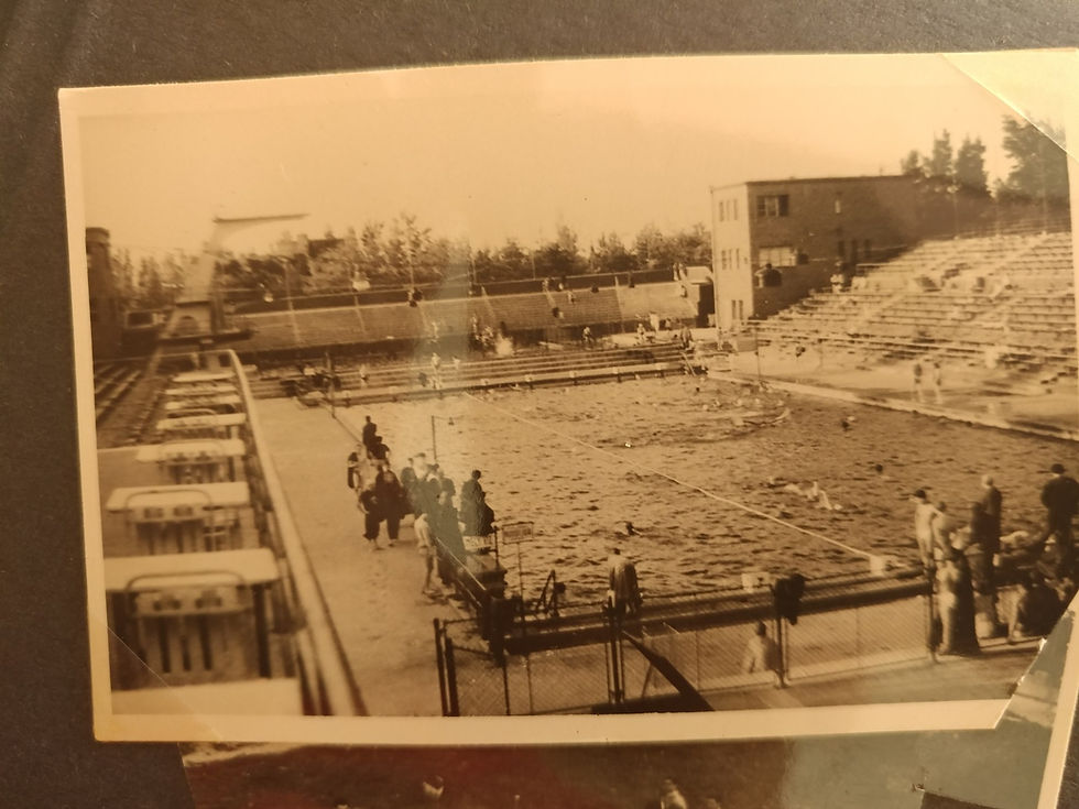 יהודית צביבל שמבן היכל התהילה כדורסל נשים (40)