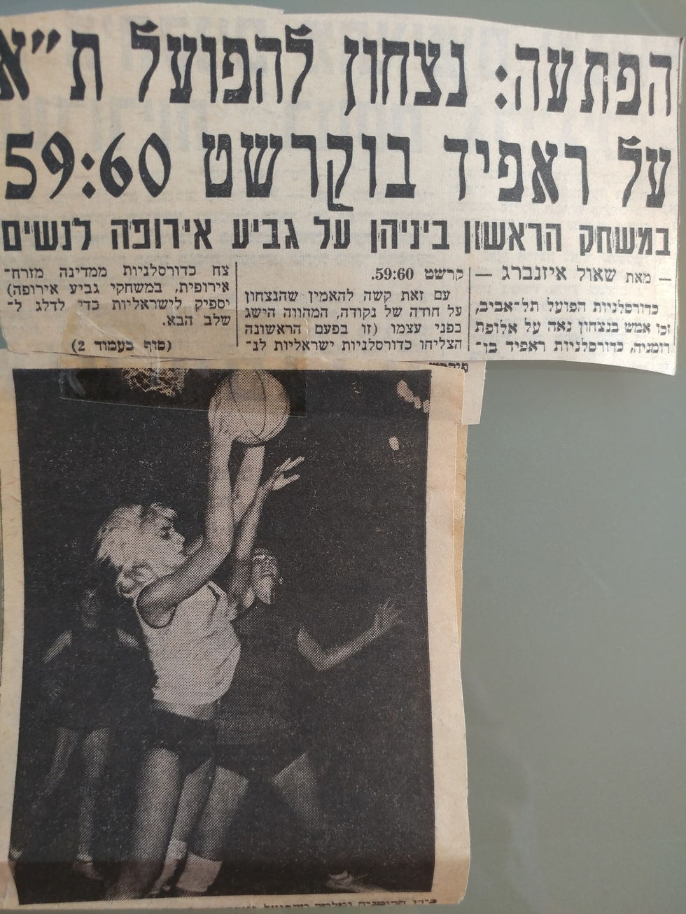 רחל טאוב שחם ארכיון כתבות ותמונות (69)