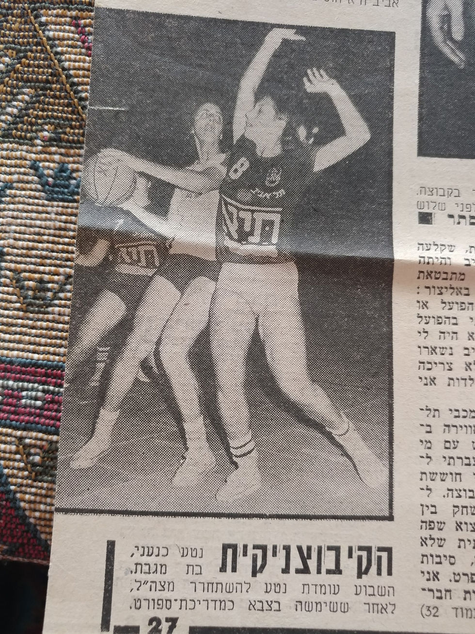 ארכיון תמונות כתבות גילה שלוש פלג (2)