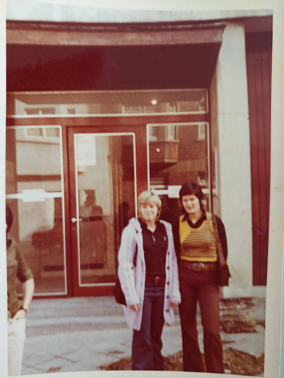 רחל שבט ריימן ארכיון כתבות ותמונות (100)