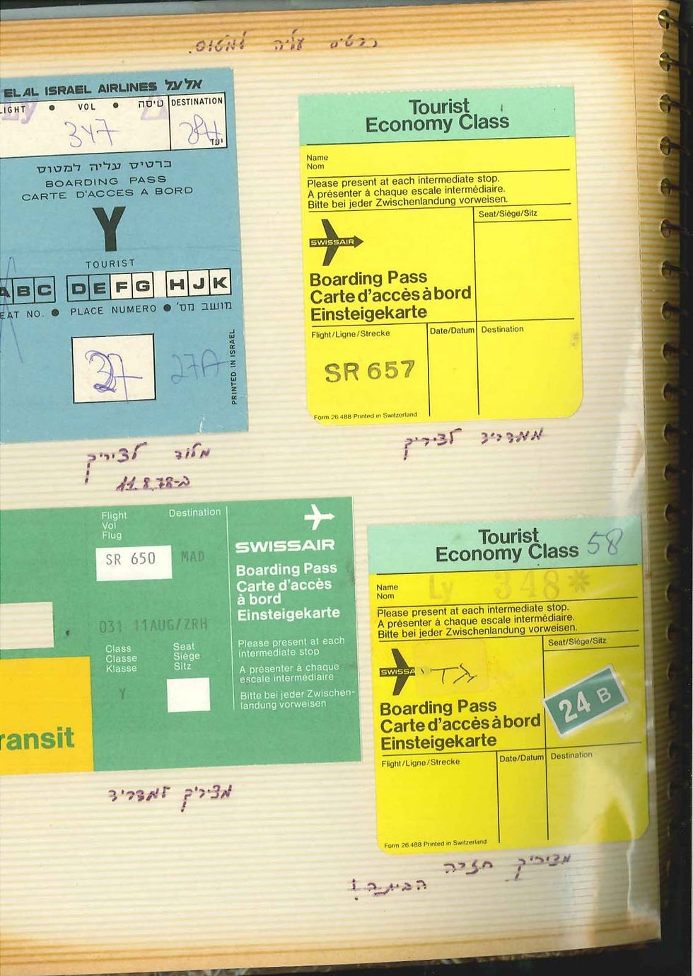 טלי הלפרין שטיין ארכיון מ (99)