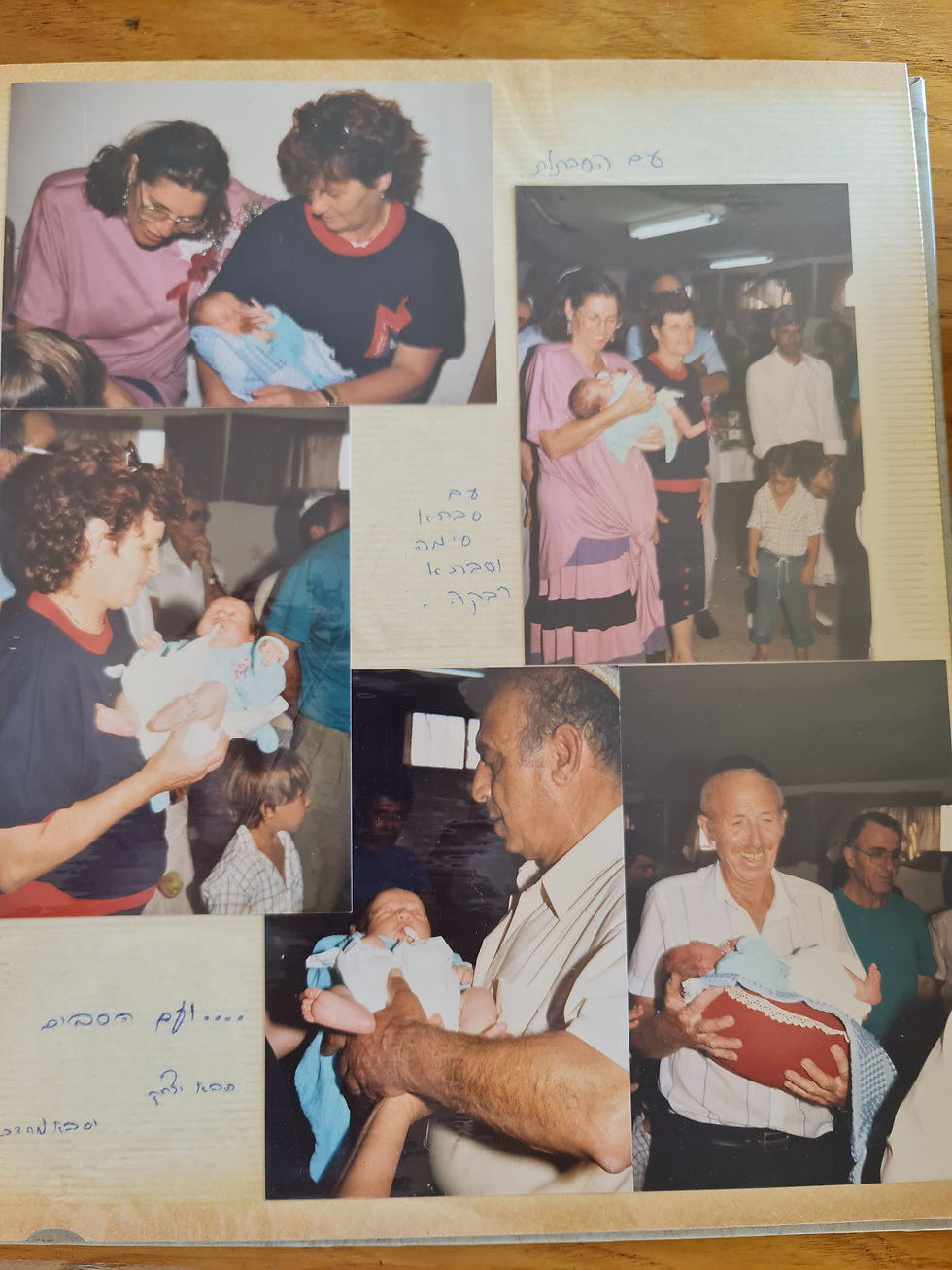 ארכיון ורדית אגאי  סלטר זל (161)