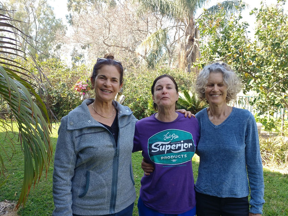 הדס אמיר פרנקל תמונות וכתבות (6)