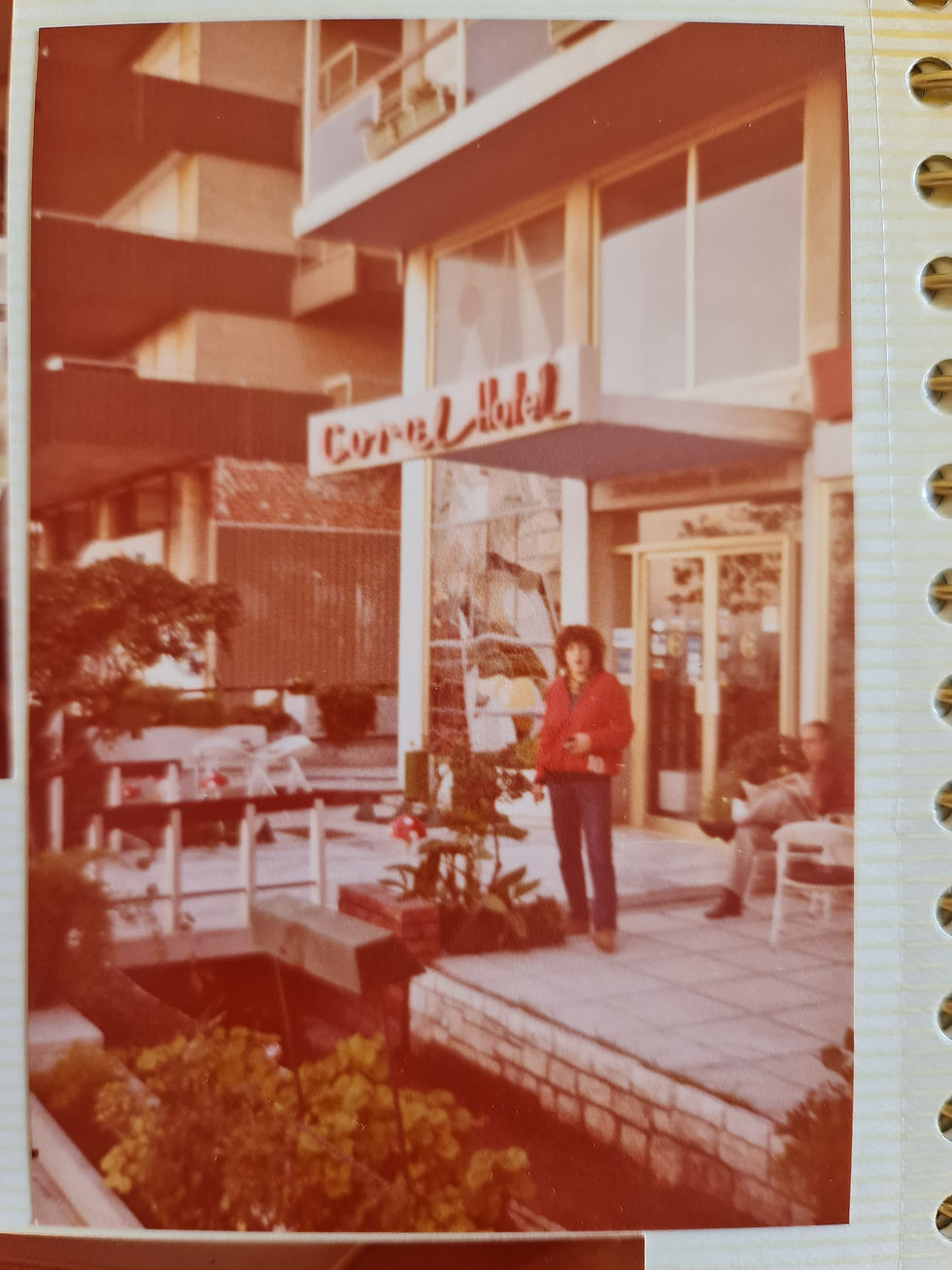 ארכיון ורדית אגאי  סלטר זל (140)