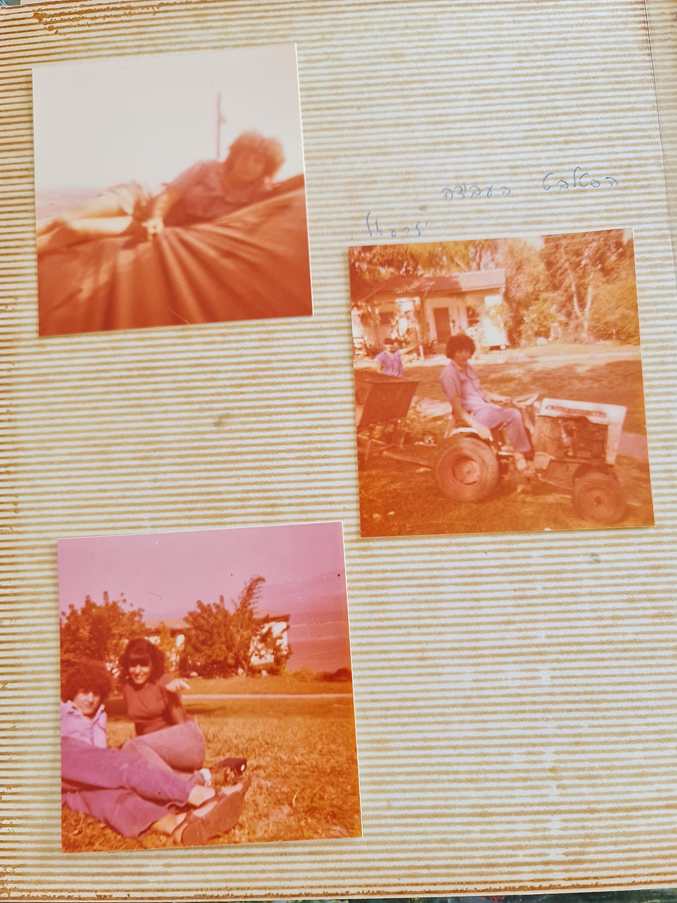 ארכיון ורדית אגאי  סלטר זל (101)