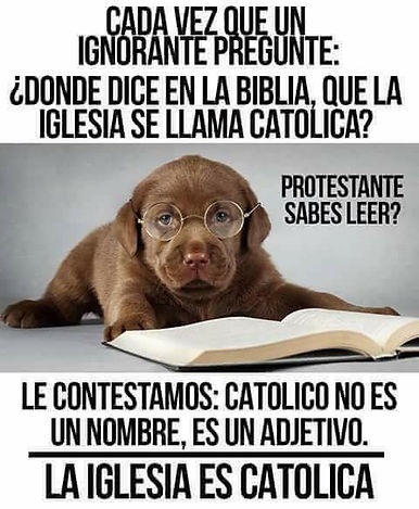 Una 3.jpg