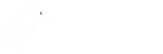 Asset 13@300x.png