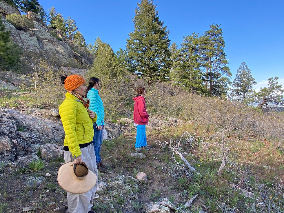 IMG_0732